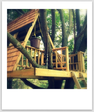 Image of a tree house