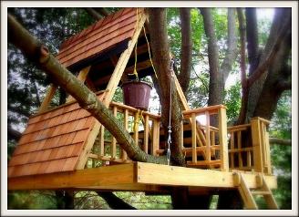 Image of a Tree House